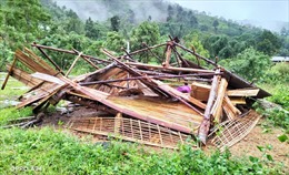 Mưa lớn, dông lốc ở Yên Bái làm một người bị thương, 534 ngôi nhà dân bị thiệt hại
