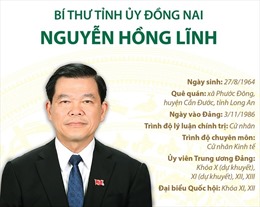 Bí thư Tỉnh ủy Đồng Nai Nguyễn Hồng Lĩnh