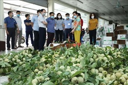 Lạng Sơn tạo điều kiện hỗ trợ nông dân tiêu thụ trái na 