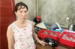 Quảng Bình liên tiếp bắt giữ các đối tượng tàng trữ, vận chuyển trái phép chất ma túy