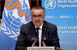 WHO kêu gọi hợp tác toàn cầu về tài trợ cho nỗ lực ứng phó đại dịch