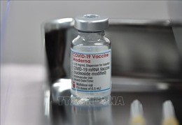 EMA điều tra sự cố chất lạ trong một số lọ vaccine của hãng Moderna