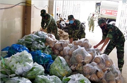 Quân khu 9 thu mua nông sản tại Sóc Trăng hỗ trợ người dân TP Hồ Chí Minh