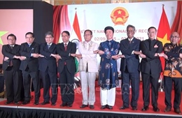 Quan hệ Việt Nam - Ấn Độ ngày càng phát triển mạnh mẽ