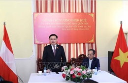 Chủ tịch Quốc hội gặp cán bộ Đại sứ quán Việt Nam tại Áo và đại diện cộng đồng người Việt Nam tại một số nước ở châu Âu 