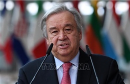 Tổng thư ký Liên hợp quốc kêu gọi các lực lượng nước ngoài rút khỏi Libya