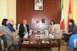 Italy sẵn sàng hỗ trợ, hợp tác với Việt Nam trong điều trị COVID-19