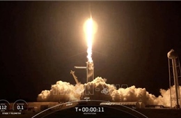 SpaceX thực hiện sứ mệnh đưa phi hành gia không chuyên lên vũ trụ