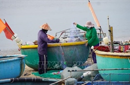 Triển khai cấp thẻ ngư dân &#39;vùng xanh&#39; đánh bắt hải sản gần bờ