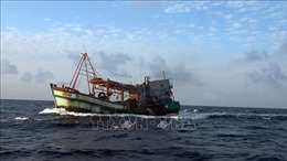  Xử phạt nghiêm các tàu cá vi phạm khai thác thủy sản trên biển