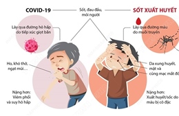Phân biệt COVID-19 và sốt xuất huyết