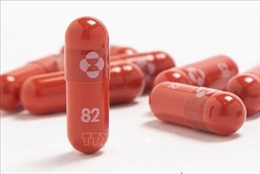Thái Lan mua 50.000 liệu trình thuốc viên molnupiravir điều trị COVID-19