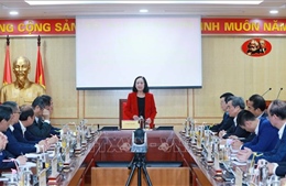 Trưởng Ban Tổ chức Trung ương gặp mặt các Đại sứ, Tổng lãnh sự trước khi nhận nhiệm vụ