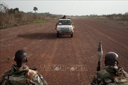 20 binh sĩ của Cộng hòa Trung Phi bị bắt làm con tin