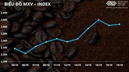 Giá cà phê thế giới hồi phục, thị trường trong nước đồng loạt tăng 100 đồng/kg