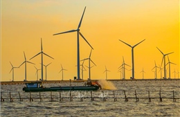 Gần 1.250 MW điện gió đã được công nhận vận hành thương mại