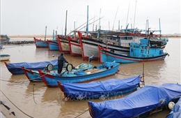 Phú Yên: Hướng dẫn tàu cá vùng nguy hiểm vào nơi tránh trú an toàn