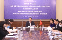 Cập nhật chính sách lãnh sự của Việt Nam trong bối cảnh COVID-19