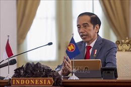 Indonesia kêu gọi thúc đẩy hợp tác phát triển cơ sở hạ tầng ASEAN-Nhật Bản