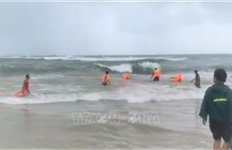 Tìm kiếm ngư dân mất tích tại cửa biển Tam Quan