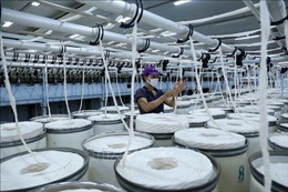 Hoa Kỳ ban hành kết luận cuối cùng về chống bán phá giá với sợi PTY của Việt Nam