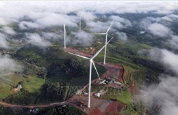 Đắk Nông: Hoàn thành 2 dự án điện gió, quy mô hơn 2.600 tỷ đồng