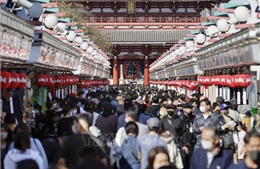 Nhật Bản rút ngắn thời gian cách ly đối với người nhập cảnh vì mục đích kinh doanh