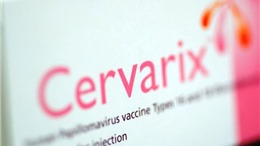 Vaccine Cervarix giúp giảm tới 87% nguy cơ ung thư cổ tử cung