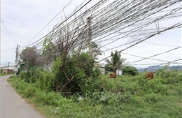 Khắc phục tình trạng lưới điện tự kéo gây mất an toàn ở Ninh Thuận