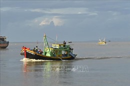 Bình Thuận: Hỗ trợ chi phí nhiên liệu cho tàu cá khai thác xa bờ