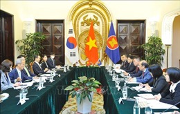 Tham vấn Việt Nam - Hàn Quốc về điều phối quan hệ ASEAN - Hàn Quốc giai đoạn 2021-2024