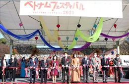 Sôi động Lễ hội Việt Nam tại Nhật Bản