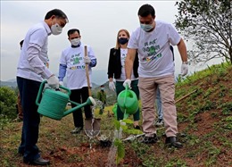 Đại sứ quán Israel tặng hơn 22.000 cây xanh cho tỉnh Hòa Bình