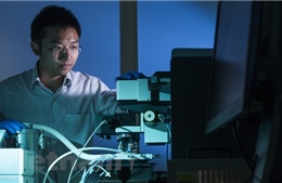 Nhà khoa học trẻ Việt Nam tại Australia nhận giải thưởng khoa học công nghệ Quả cầu vàng 