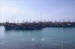 Khánh Hòa sơ tán 4.500 lao động trên các lồng bè vào bờ tránh trú bão