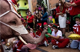 Độc đáo hình ảnh voi phát quà Giáng sinh tại Thái Lan