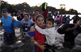 Lượng người di cư Guatemala hồi hương bằng đường không từ Mỹ giảm