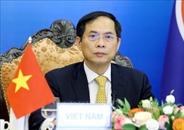 Nhìn lại năm 2021: Ngoại giao Việt Nam vì sự nghiệp bảo vệ và phát triển đất nước 