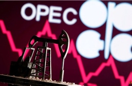 OPEC xúc tiến bổ nhiệm Tổng Thư ký mới