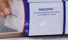 Canada phê duyệt thuốc kháng virus trị COVID-19 của hãng Pfizer