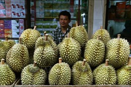 Thái Lan tập huấn cho nông dân trồng trái cây xuất khẩu sang Trung Quốc