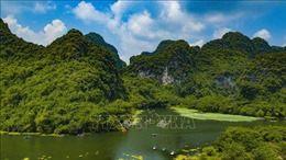 Ninh Bình phấn đấu trồng 1,2 triệu cây xanh và 140 ha rừng trong năm 2022