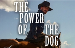 &#39;The Power of the Dog&#39; dẫn đầu số đề cử Oscar 2022