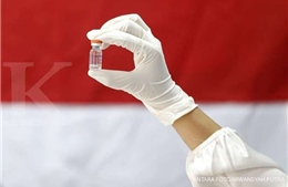 Indonesia dự kiến sử dụng vaccine ngừa COVID-19 nội địa 