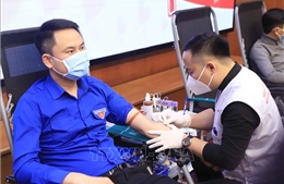 Vĩnh Phúc: Tiếp nhận gần 500 đơn vị máu an toàn trong Ngày Chủ nhật đỏ 
