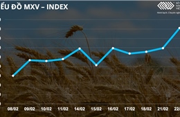 Bản tin MXV 23/2: Thị trường nông sản tăng đột biến