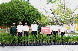 2.000 cây dừa xiêm giống được trao tặng cho huyện đảo Trường Sa