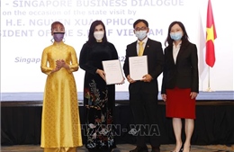 Gần 11 tỷ USD cam kết hợp tác giữa doanh nghiệp Việt Nam - Singapore 