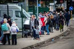 EU tạo thuận lợi cho việc tiếp nhận người tị nạn từ Ukraine