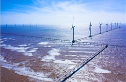 Trà Vinh thêm nhà máy điện gió với vốn đầu tư 3.860 tỷ đồng